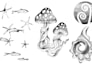 create a hand drawn pointillism illustration